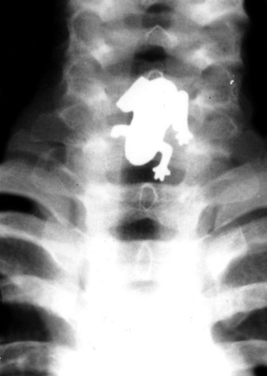 1099973512.jpg - fonte: 1099973512.jpg (488×688) (http://sorisomail.com/img/1099973512.jpg)