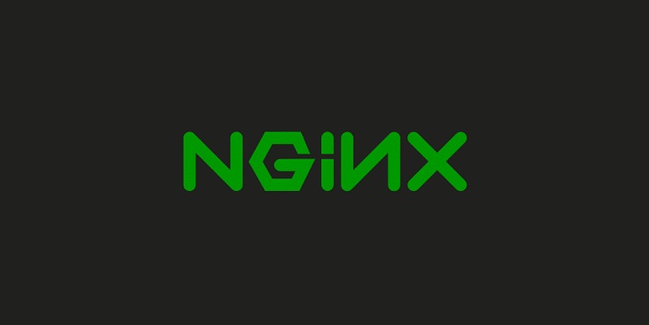 logotipo do nginx