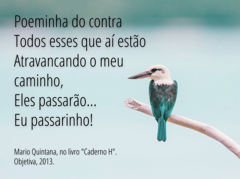 Poeminha do contra - Todos esses que aí estão / Atravancando o meu caminho, / Eles passarão... / Eu passarinho! (Mario Quintana, no livro