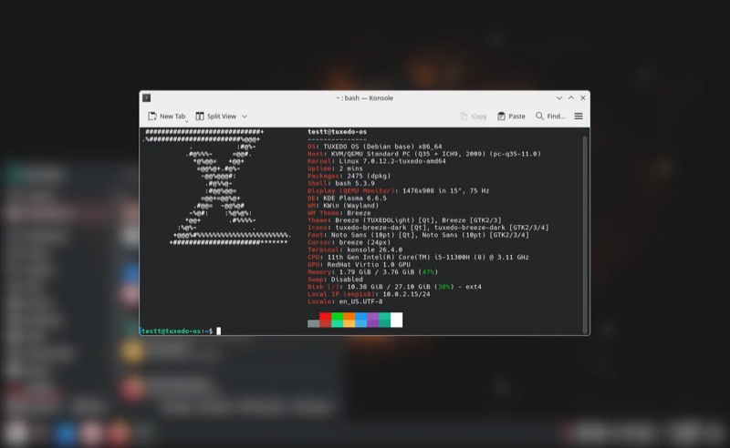 Print de um terminal rodando o Tuxedo OS