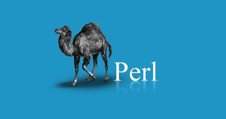O logo do camelo que caracteriza a linguagem Perl