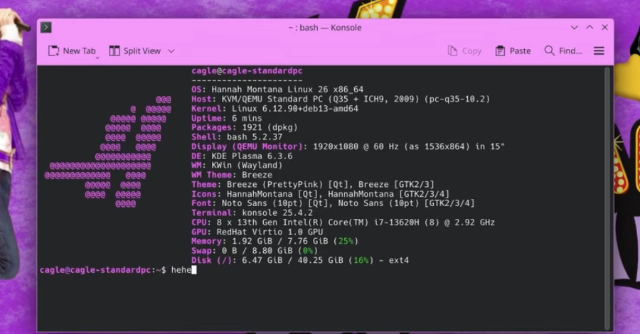Tela de terminal exibindo as configurações de uma máquina virtual rodando o Hannah Montana Linux 2026.0