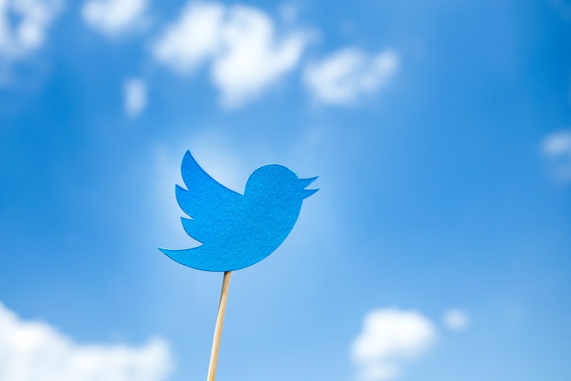 O antigo logo do Twitter, de papelão, em uma vareta